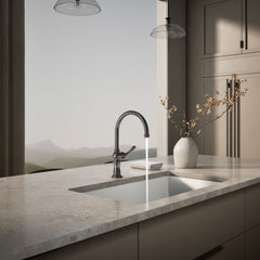 Artifacts Single-Hole Kitchen Faucet with Swing Spout, Arc Spout Design in Vibrant Titanium | product photo