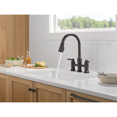 Renaldi Kitchen Faucet with Pull Down Sprayer in Venetian Bronze | product photo
