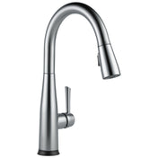 Essa Single Handle Kitchen Faucet in Arctic Stainless
