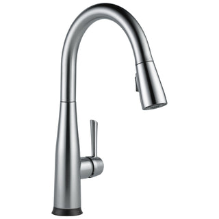 Essa Single Handle Kitchen Faucet in Arctic Stainless