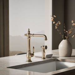Artifacts Single Handle Kitchen Sink Faucet with Accessories in Vibrant Brushed Bronze | product photo