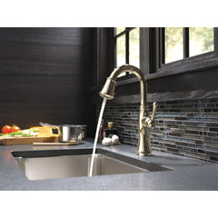 Cassidy™ Bar Faucet with Pull Down Sprayer in Lumicoat Polished Nickel | product photo