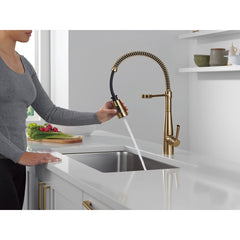 Essa Pro Style Commercial Kitchen Faucet with Pull Down Sprayer in Champagne Bronze | product photo
