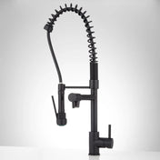 Levi Pull Down Single Handle Kitchen Faucet with Accessories in Black