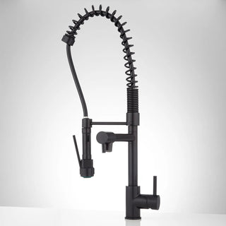 Levi Pull Down Single Handle Kitchen Faucet with Accessories in Black