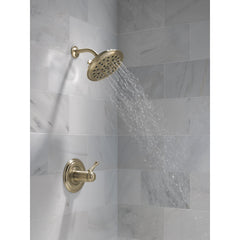 Rain Dual Shower Head with H2Okinetic Technology in Lumicoat Champagne Bronze | product photo