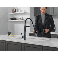 Essa Pro Style Commercial Kitchen Faucet with Pull Down Sprayer, Matte Black Single Hole Kitchen Sink Faucet, Single Handle, Matte Black | product photo