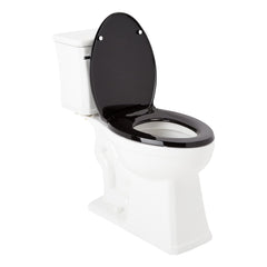 Benbrook 1.28 GPF Two Piece Elongated Toilet in Black/Chrome | product photo