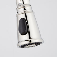 Finnian 1.8 GPM Single Hole Pull Down Kitchen Faucet in Polished Nickel | detail photo