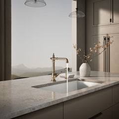 Artifacts Single Handle Kitchen Sink Faucet with Accessories in Vibrant Brushed Bronze | product photo