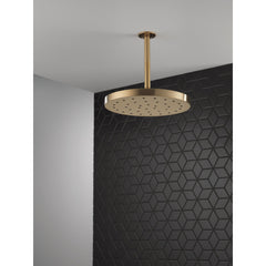 Rain Fixed Shower Head with H2Okinetic Technology, 2.5 GPM in Champagne Bronze | product photo