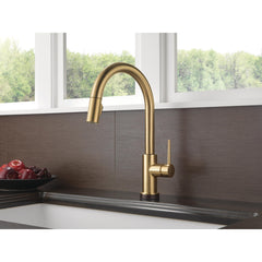 Trinsic Touch Kitchen Faucet with Pull Down Sprayer, Single Handle, Brilliance Champagne Bronze | product photo