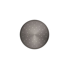Statement Flood Adjustable Shower Head in Vibrant Titanium | product photo