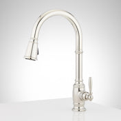 Finnian 1.8 GPM Single Hole Pull Down Kitchen Faucet in Polished Nickel