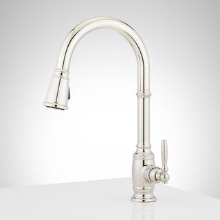 Finnian 1.8 GPM Single Hole Pull Down Kitchen Faucet in Polished Nickel