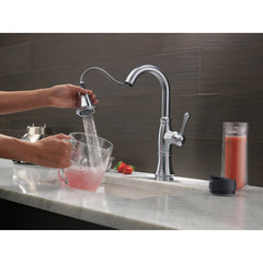 Cassidy™ Bar Faucet with Pull Down Sprayer in Lumicoat Arctic Stainless | product photo