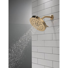 Multi Function Adjustable Shower Head in Lumicoat Champagne Bronze | product photo