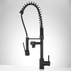 Levi Pull Down Single Handle Kitchen Faucet with Accessories in Black | product photo