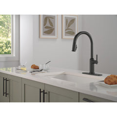 Single Handle Pull-Down Kitchen Faucet in Matte Black | product photo