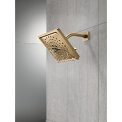 Rain Adjustable Shower Head with H2Okinetic Technology in Champagne Bronze | product photo