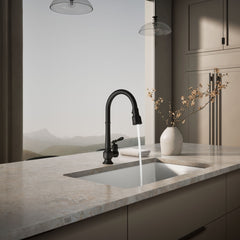 Artifacts Pull Down Bar Faucet in Matte Black | product photo