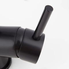 Levi Pull Down Single Handle Kitchen Faucet with Accessories in Black | detail photo