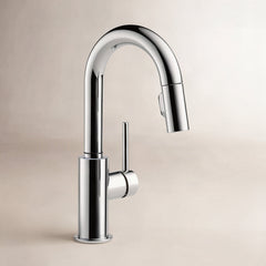 Trinsic Chrome Bar Sink Faucet with Pull Down Sprayer | product photo