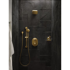 Flara M-CORE 3-Series 2-Handle Shower Trim With Integrated Transfer Valve, Valve Required in Brushed Gold | product photo