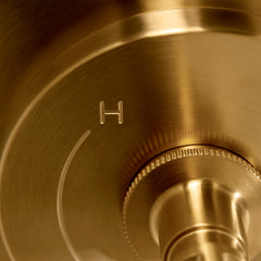 Castia Rite-Temp Shower Trim Kit 2.5 GPM in Vibrant Brushed Moderne Brass | detail photo