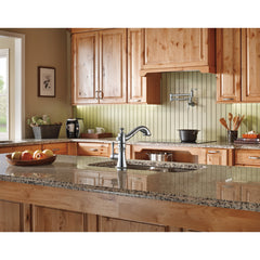 Traditional Pot Filler Kitchen Faucet in Arctic Stainless | product photo