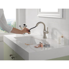 Cassidy Single Hole Pull Out Sprayer Bathroom Faucet, Single Handle Bathroom Sink Faucet in Silver | product photo
