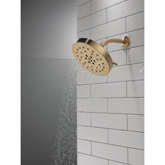 Multi Function Adjustable Shower Head in Lumicoat Champagne Bronze | product photo