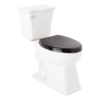 Benbrook 1.28 GPF Two Piece Elongated Toilet in Black/Chrome