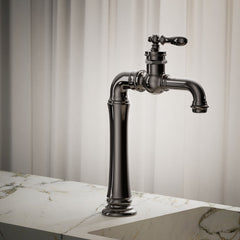 Artifacts Gentleman's Single Hole Bathroom Faucet with Drain Assembly in Vibrant Titanium | product photo