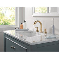 Trinsic Bathroom Faucet with Sprayer in Champagne Bronze | product photo