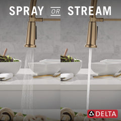 Rhett Pro Style Commercial Kitchen Faucet with Pull Down Sprayer in Champagne Bronze | product photo