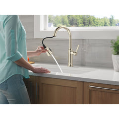 Renaldi Kitchen Faucet with Pull Down Sprayer in Lumicoat Polished Nickel | product photo