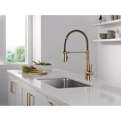 Essa Pro Style Commercial Kitchen Faucet with Pull Down Sprayer in Champagne Bronze | product photo