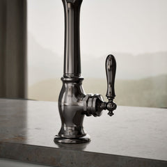 Artifacts Single-Hole Kitchen Sink Faucet with 13-1/2-in Swing Spout, Victorian Spout Design in Vibrant Titanium | product photo