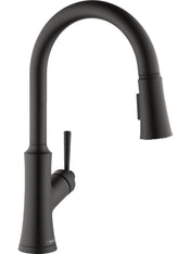 Joleena Pull Down Single Handle Kitchen Faucet in Matte Black