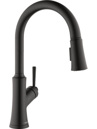 Joleena Pull Down Single Handle Kitchen Faucet in Matte Black