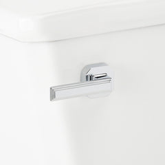 Benbrook 1.28 GPF Two Piece Elongated Toilet in Black/Chrome | detail photo