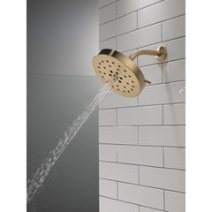 Multi Function Adjustable Shower Head in Lumicoat Champagne Bronze | product photo