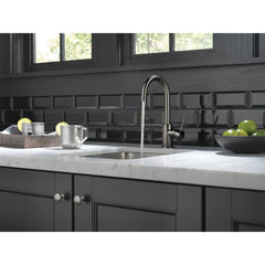 Trinsic Swivel Bar Faucet, Single Handle Prep Sink Faucet in Black Stainless | product photo