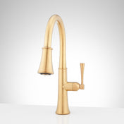 Perdita Pull-Down Kitchen Faucet in Brushed Gold