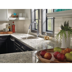 Essa Chrome Touch Kitchen Faucet | product photo