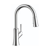 Joleena Pull Down Single Handle Kitchen Faucet in Chrome