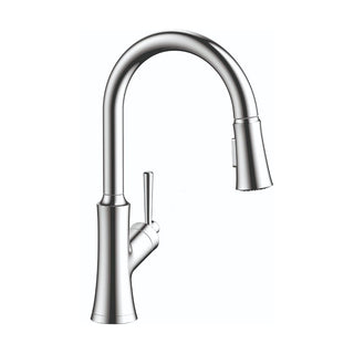 Joleena Pull Down Single Handle Kitchen Faucet in Chrome