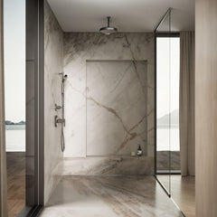 Traditional Round 10" Rainhead with Katalyst Air-Induction Spray in Vibrant Titanium | product photo