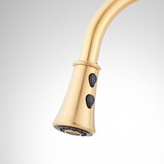 Perdita Pull-Down Kitchen Faucet in Brushed Gold | detail photo
